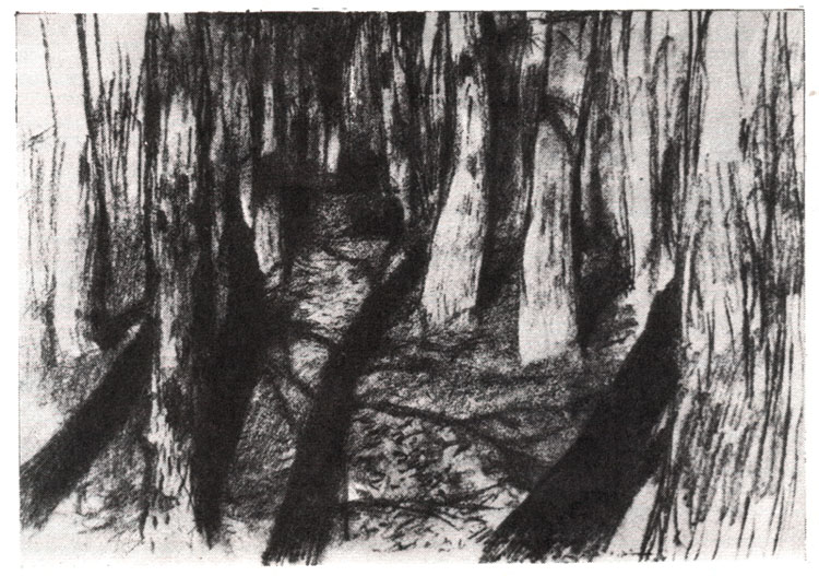 Левитан И.И. - Стволы деревьев. Рисунок (1890 г.)
